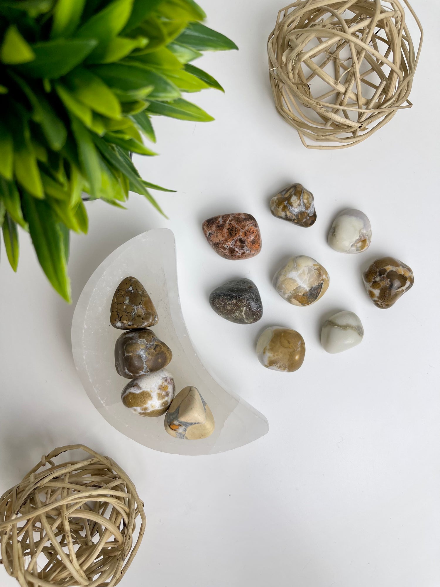 Orbicular Jasper Tumbles - Canadian Crystal Queens
