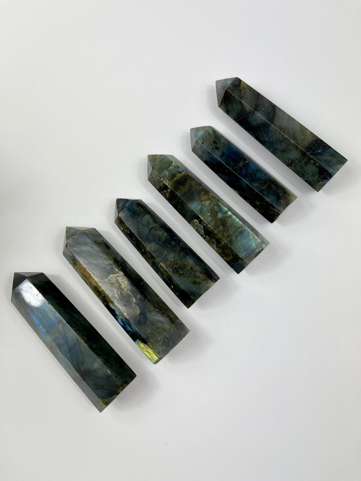 Labradorite Towers Group Picture