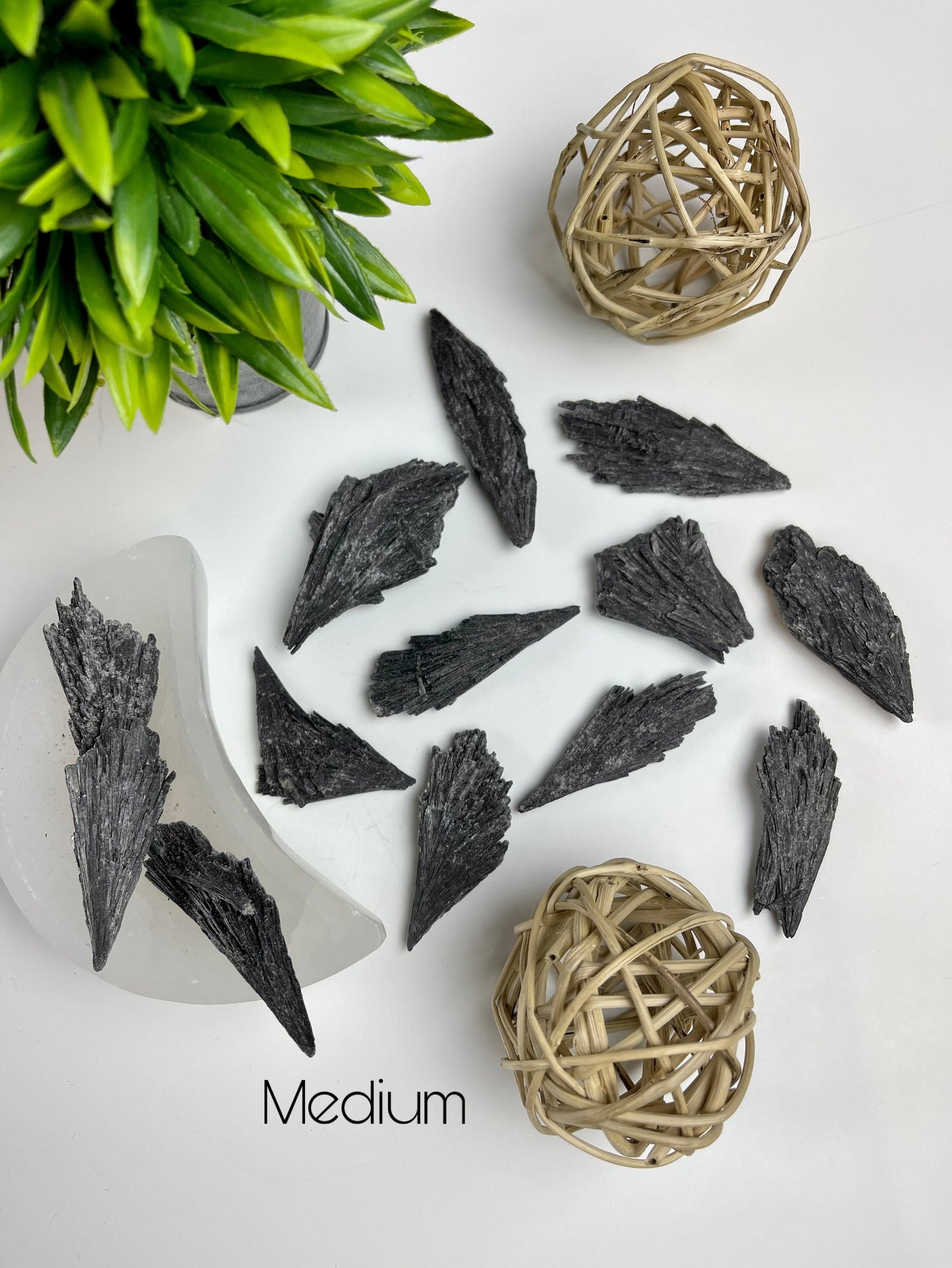 Medium Black Kyanite Blades