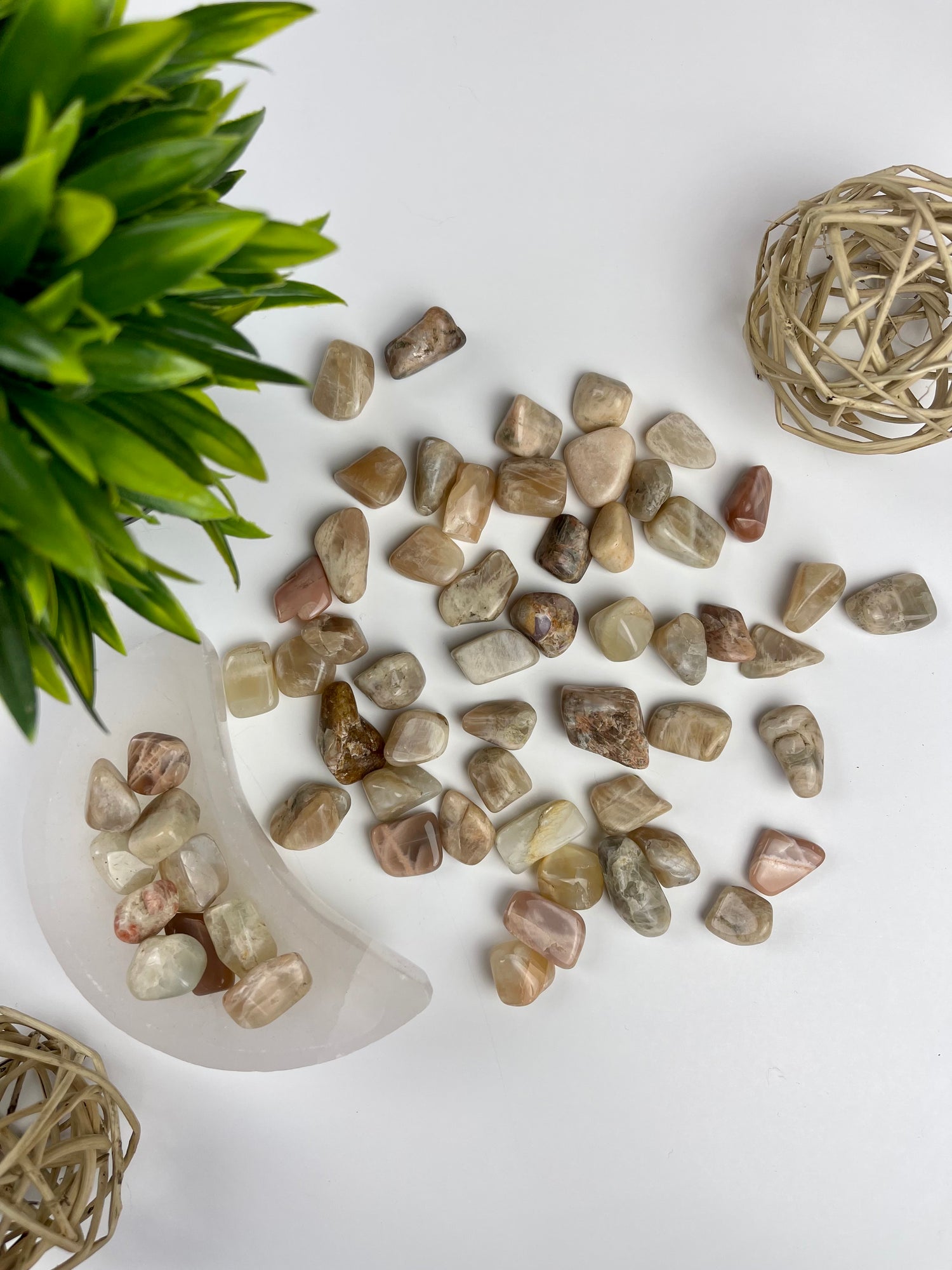 Moonstone Tumbles
