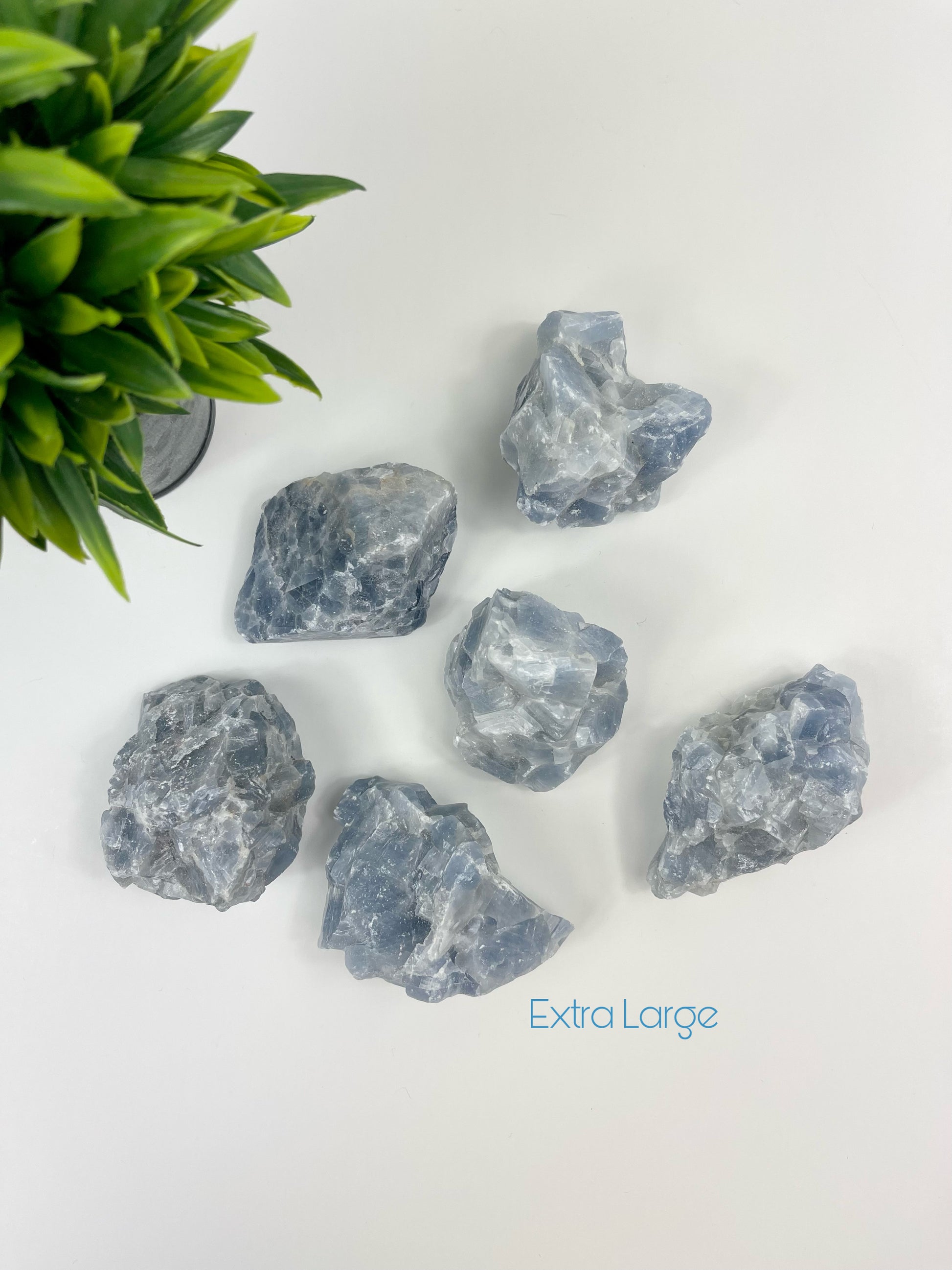 Extra Large Blue Calcite Raw Pieces