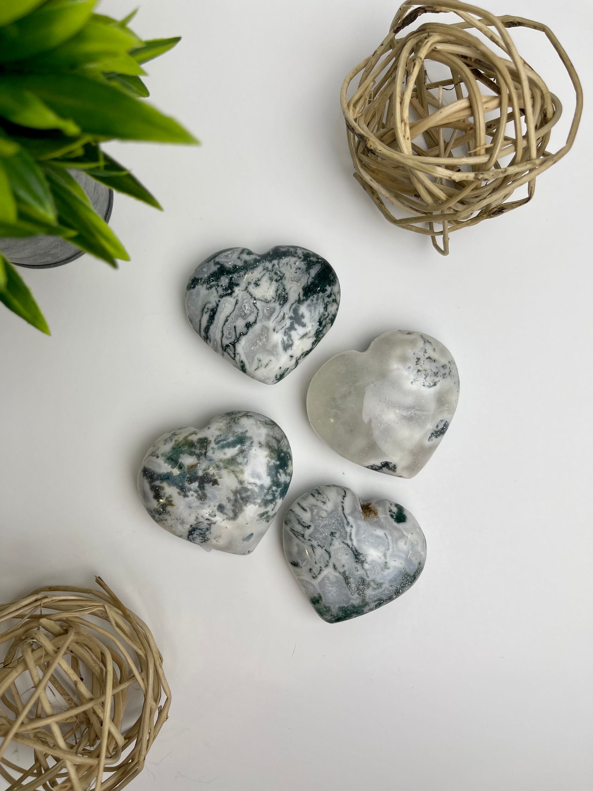 Tree Agate Hearts