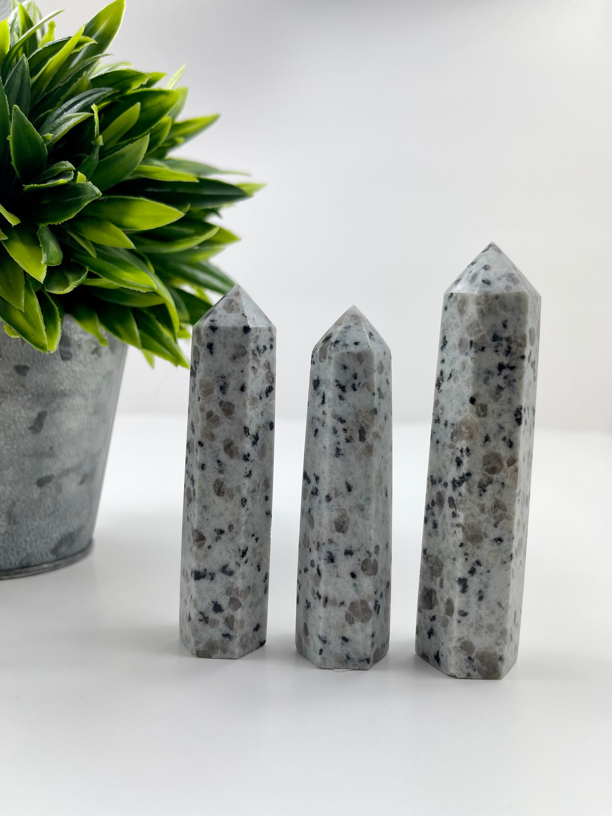 Kiwi Jasper Towers