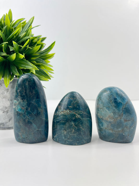 Blue Apatite Freeforms