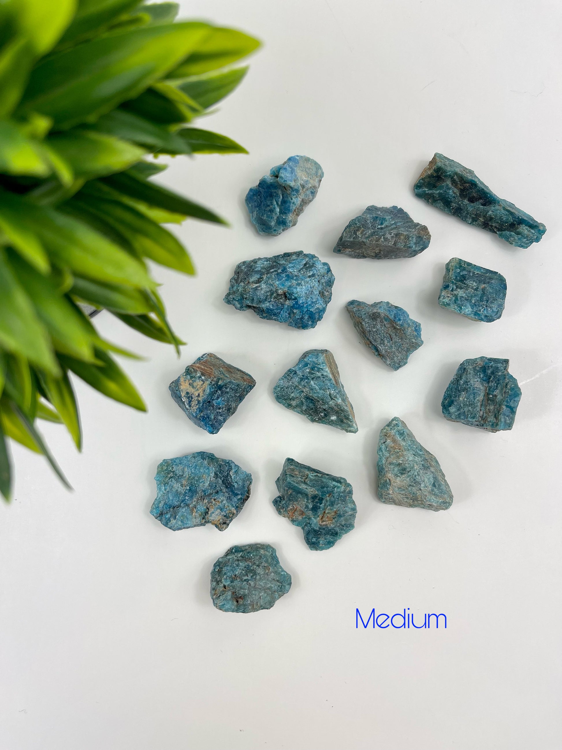 Blue Apatite Medium Raw Pieces