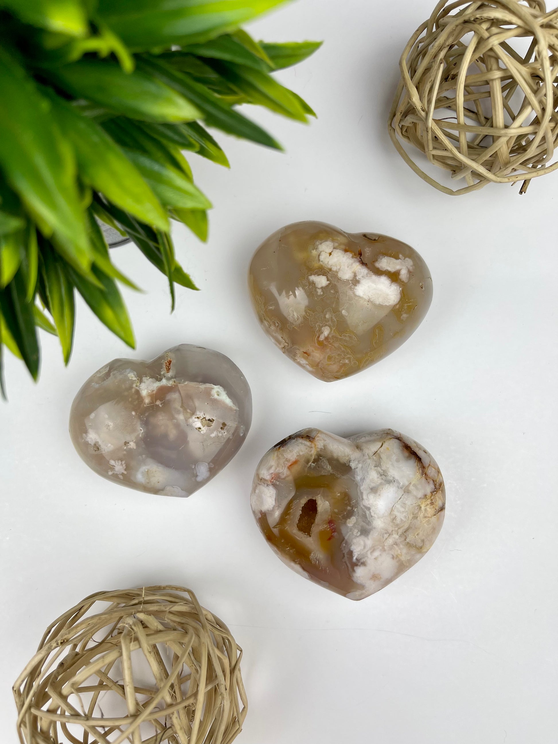 Flower Agate Hearts