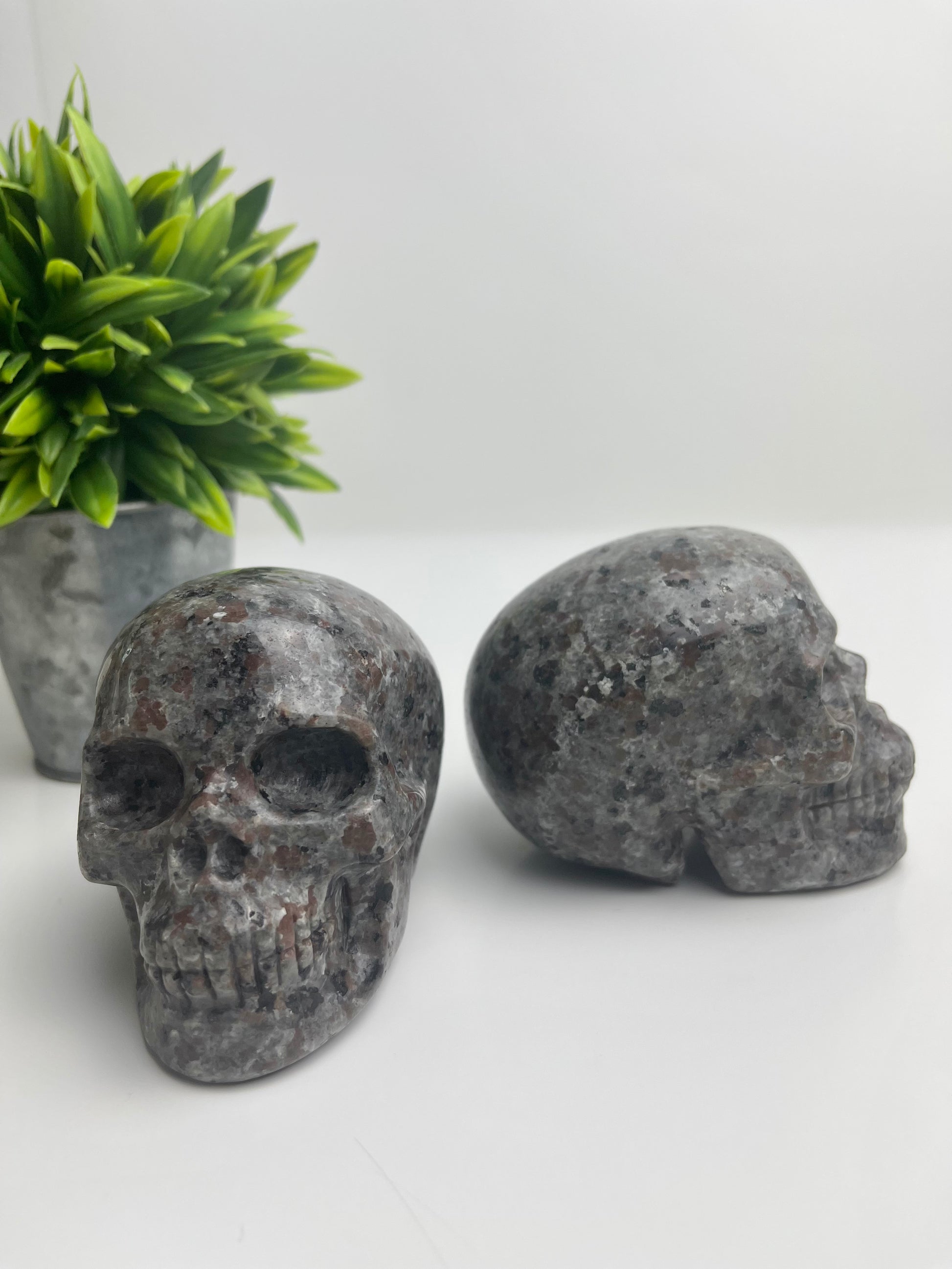 Yooperlite Skulls