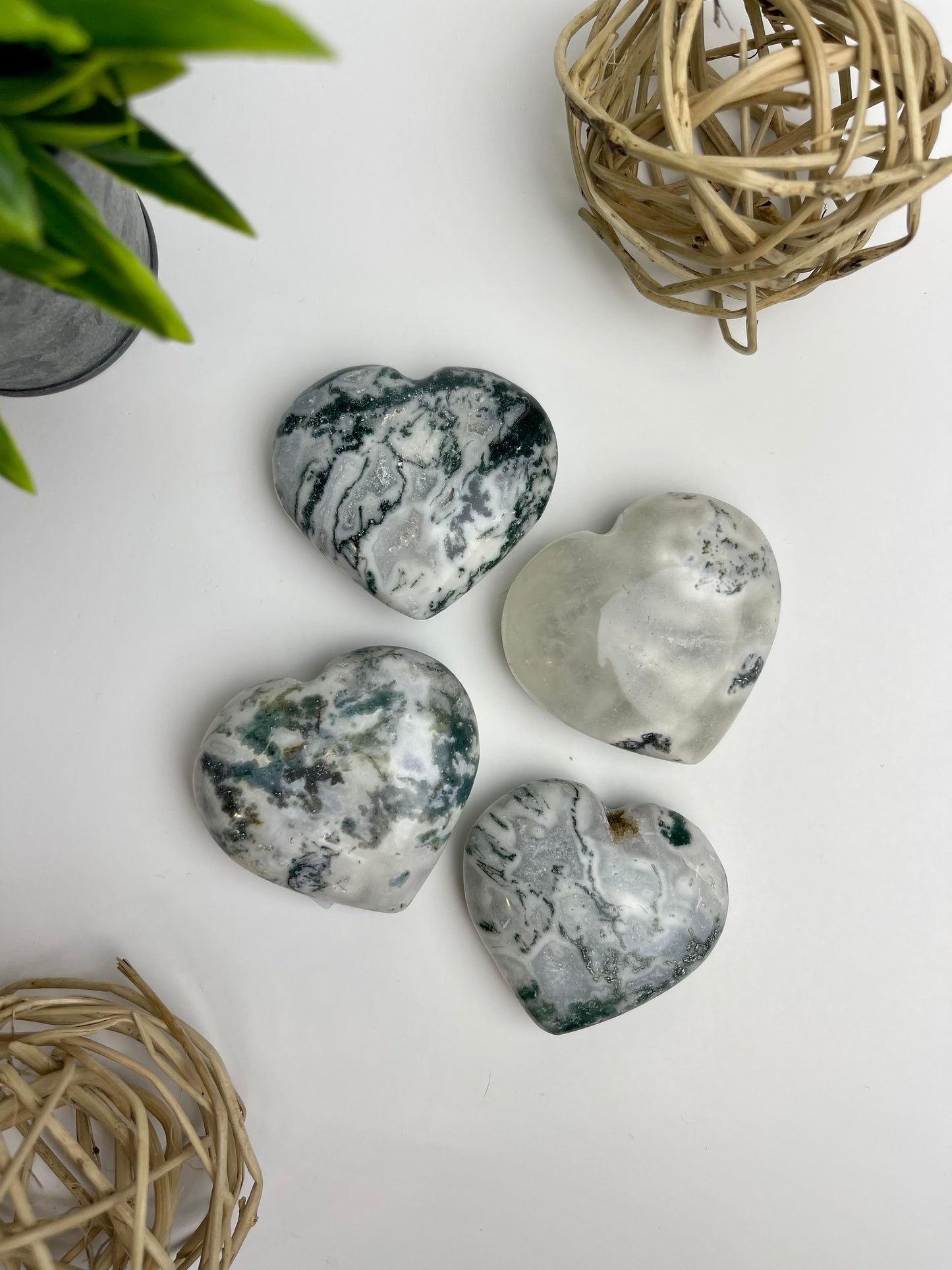 Tree Agate Hearts