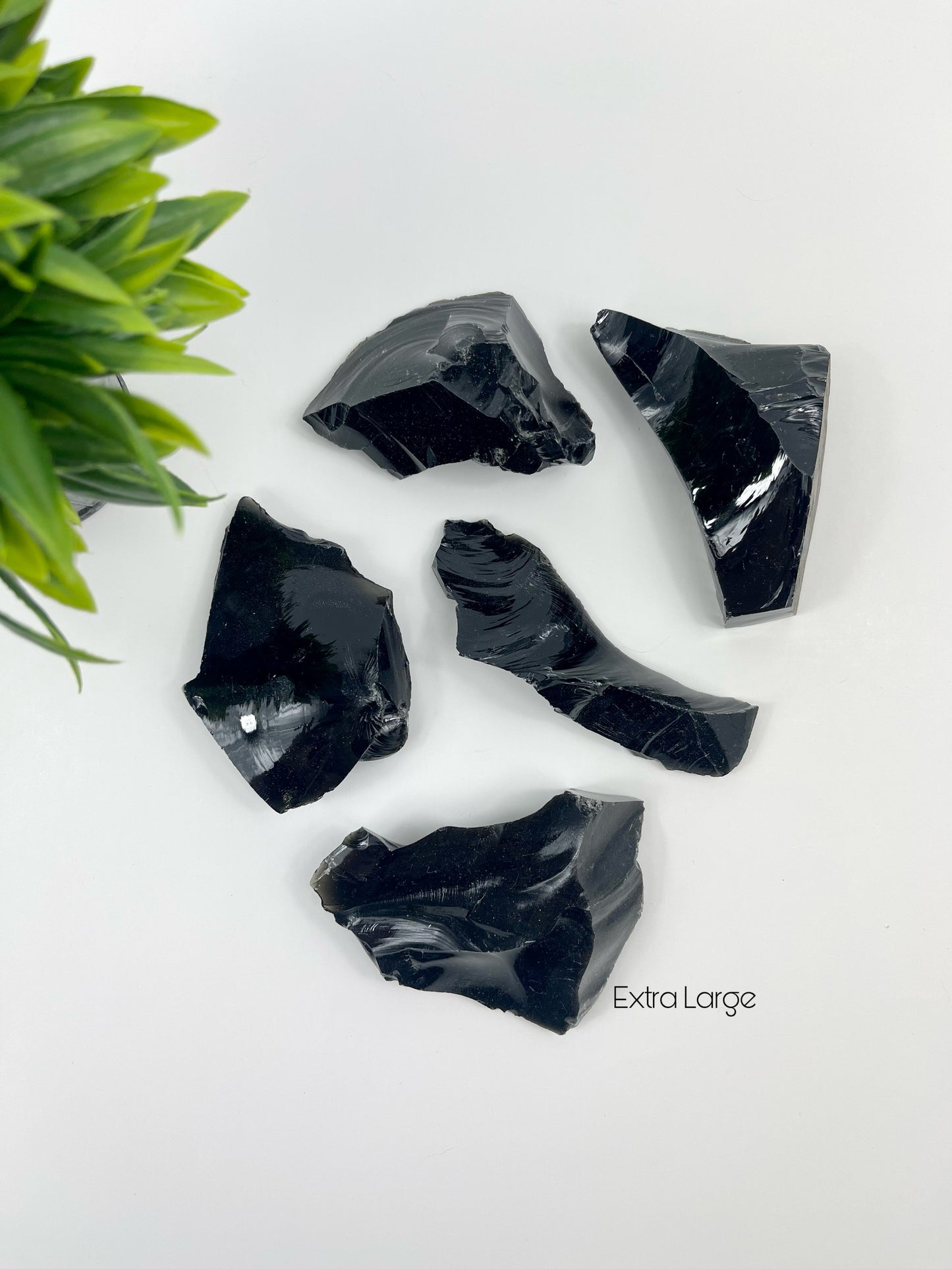 Extra Large Black Obsidian Raw Pieces