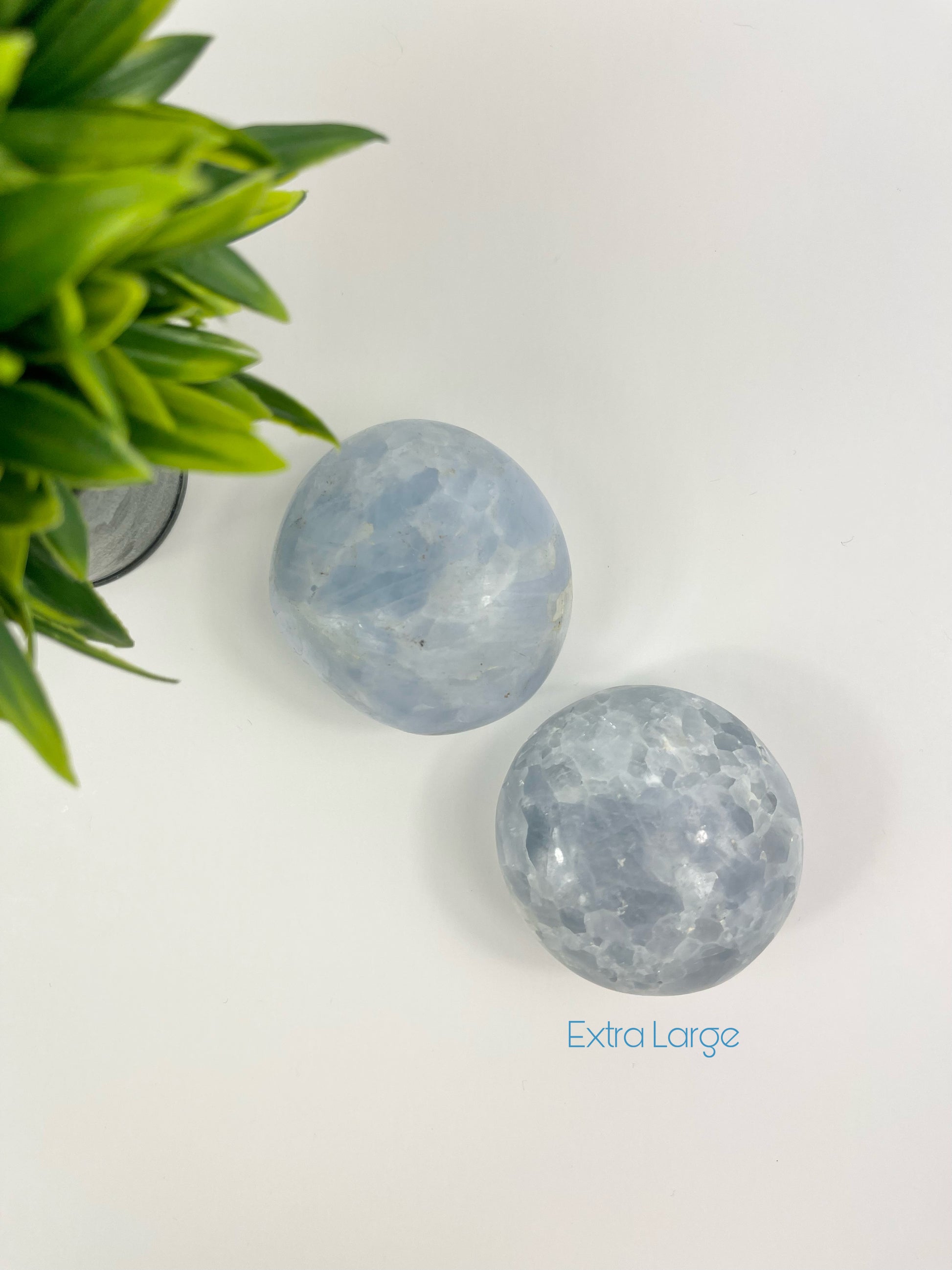 Extra Large Blue Calcite Palm Stones